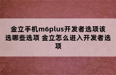 金立手机m6plus开发者选项该选哪些选项 金立怎么进入开发者选项